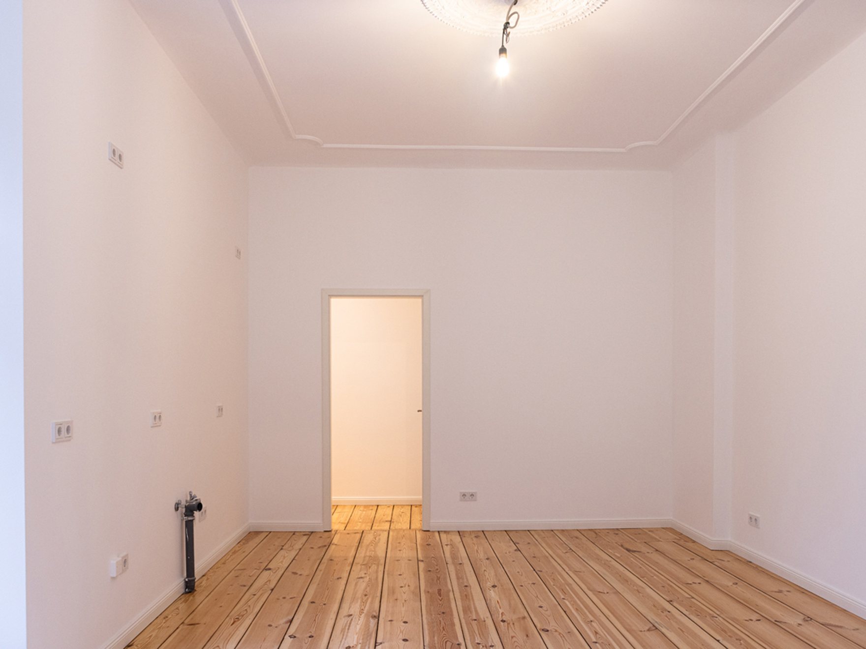 Frisch gestrichener Altbauraum mit Stuckdecke und Dielenboden